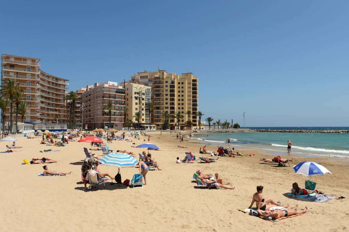 mejores autoescuelas en torrevieja